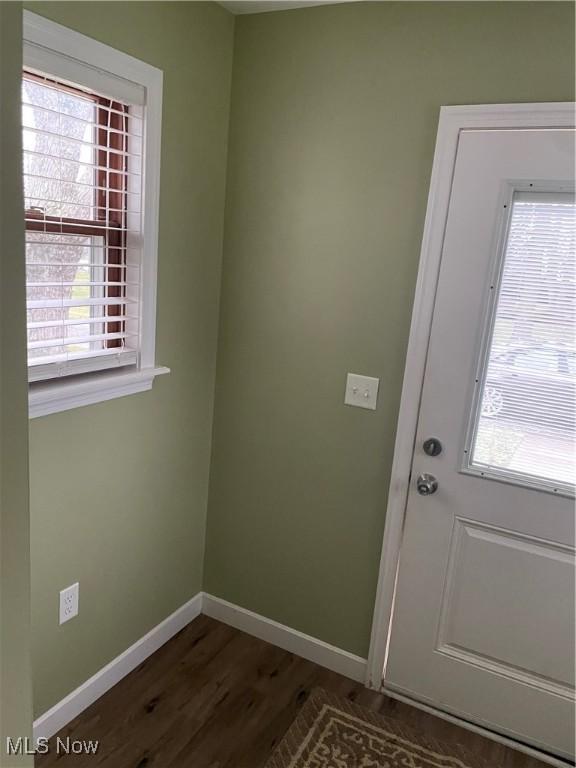 doorway featuring dark hardwood / wood-style floors and a wealth of natural light