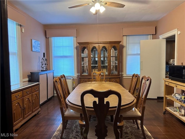 159 Kenilworth Ave SE, Warren, OH 44483 - dining room featuring a ceiling fan and dark wood finished floors