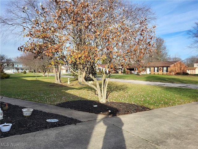 view of property's community featuring a lawn