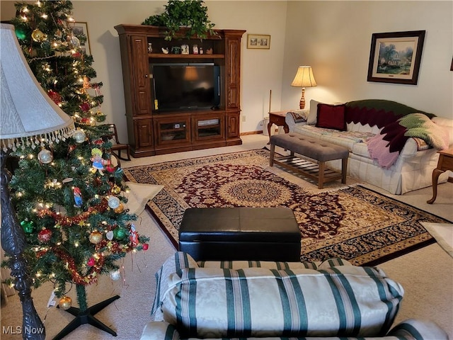 living room featuring carpet