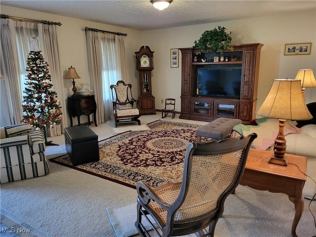 living room with carpet flooring and a textured ceiling