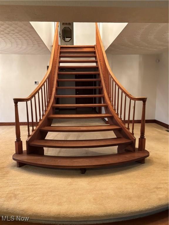 staircase featuring carpet flooring