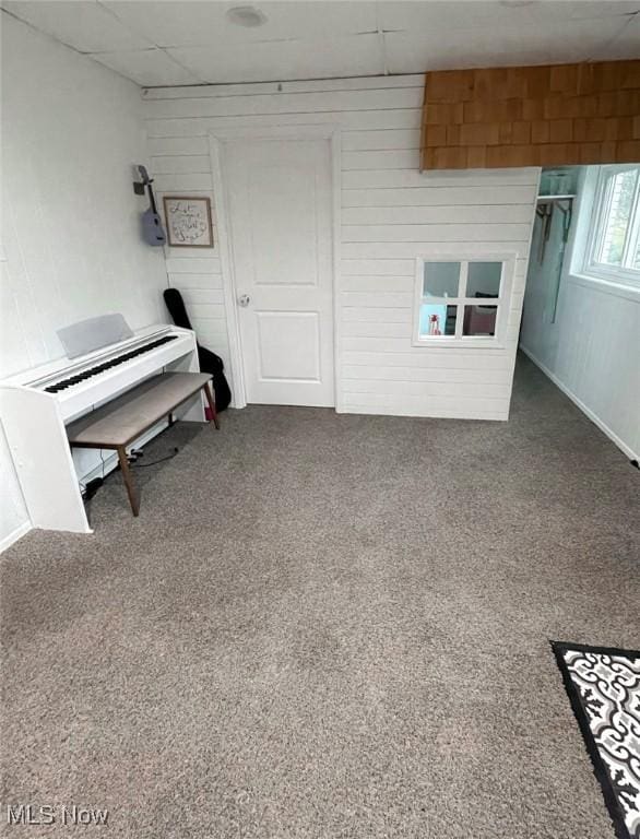 misc room with carpet flooring and wooden walls