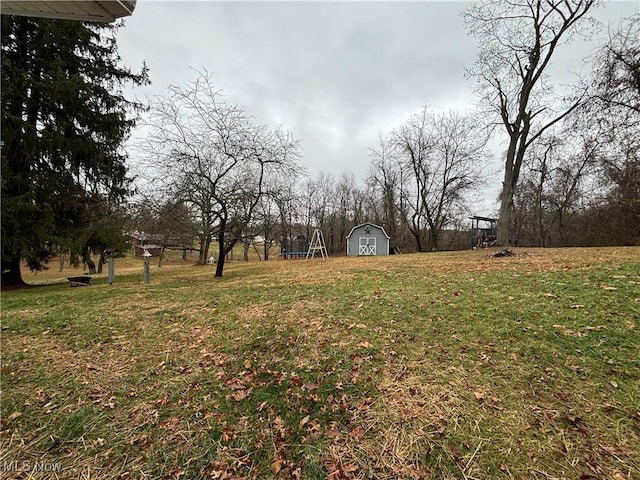 view of yard featuring a trampoline and a storage shed