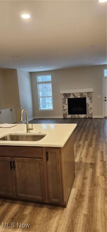 kitchen featuring a stone fireplace, sink, and wood-type flooring