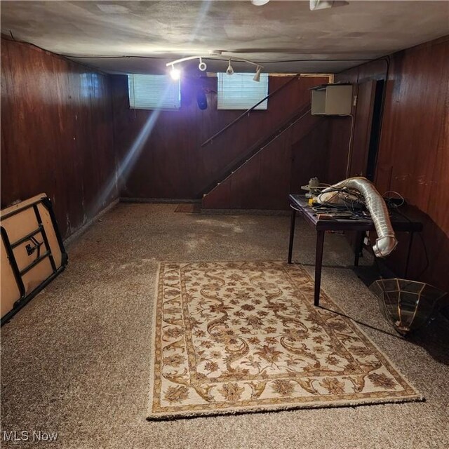 basement featuring carpet flooring and wood walls