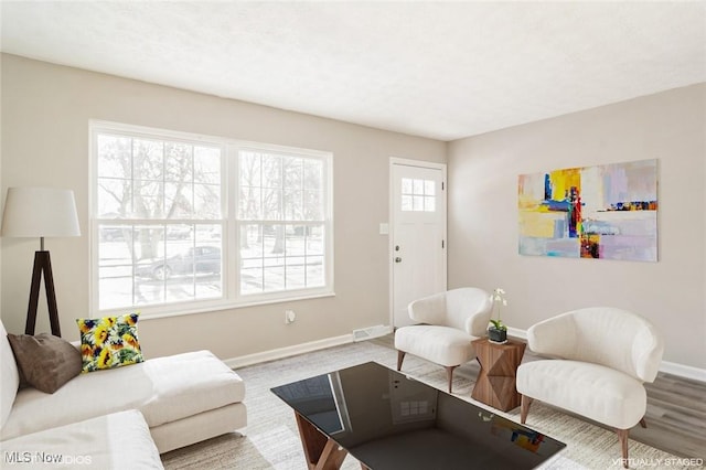 living room featuring hardwood / wood-style floors and a healthy amount of sunlight