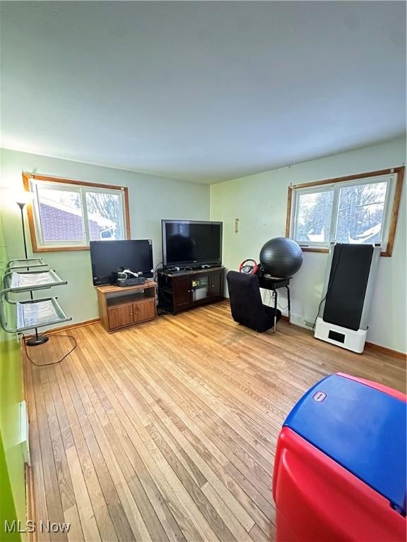 living room featuring light wood-type flooring and a healthy amount of sunlight