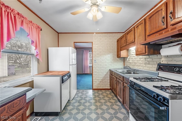 kitchen featuring exhaust hood, white appliances, a wealth of natural light, and sink