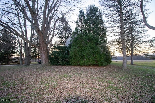 view of yard at dusk