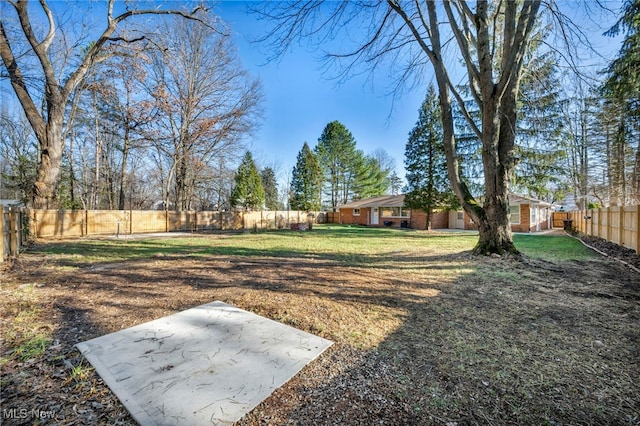 view of yard featuring a patio area