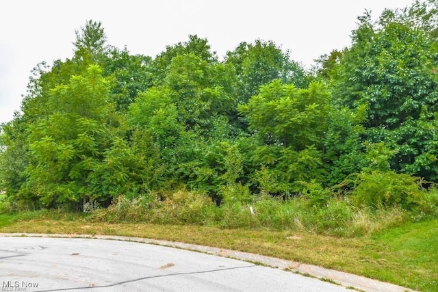 Rowland Ave NE, Canton OH, 44714 land for sale