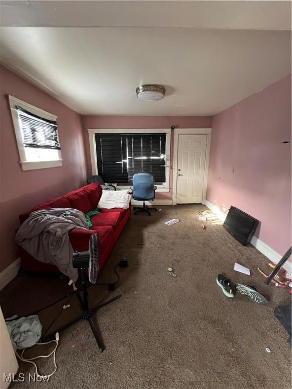 living room with carpet floors