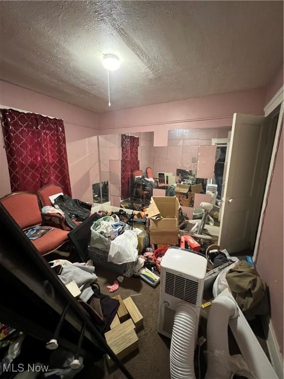 miscellaneous room with carpet and a textured ceiling