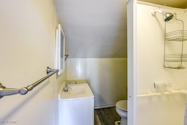 bathroom featuring wood-type flooring, vanity, and toilet