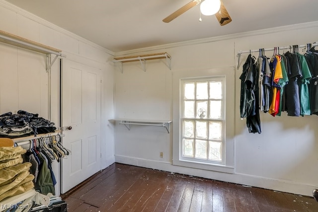 walk in closet with ceiling fan and dark hardwood / wood-style flooring