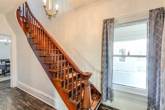 staircase featuring hardwood / wood-style floors, a notable chandelier, and a healthy amount of sunlight