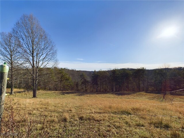 268 Mountain View Dr, Big Spring, WV 26137 - photo 37