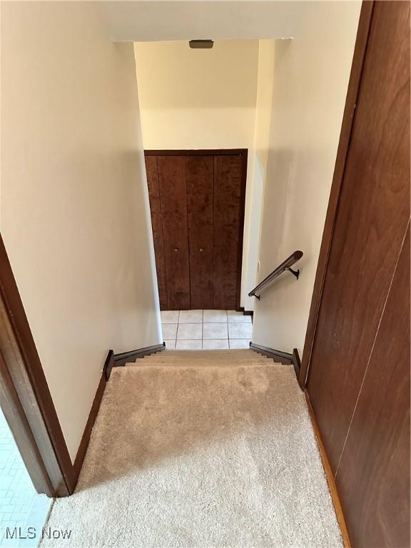 staircase featuring carpet flooring