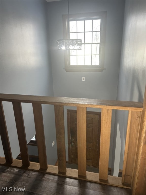 stairway with hardwood / wood-style floors