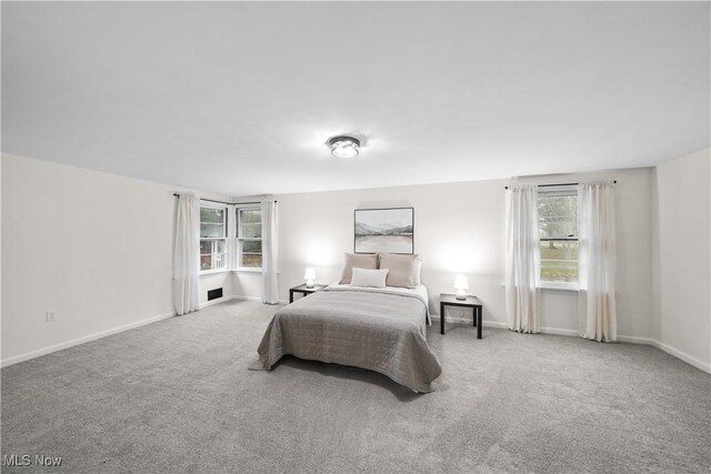 bedroom featuring carpet floors