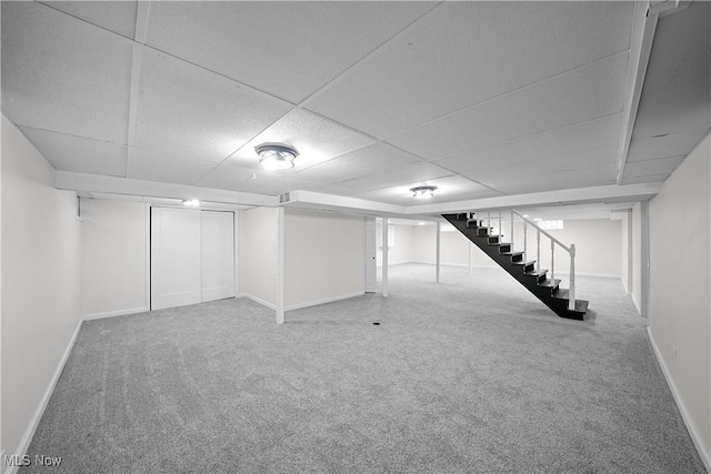 basement with carpet and a paneled ceiling