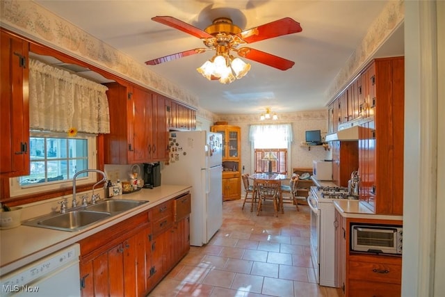 kitchen featuring white appliances, ceiling fan, a healthy amount of sunlight, and sink