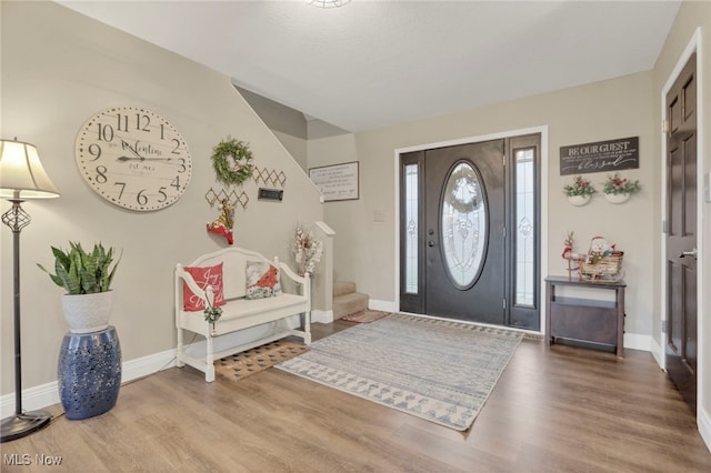 foyer with wood-type flooring