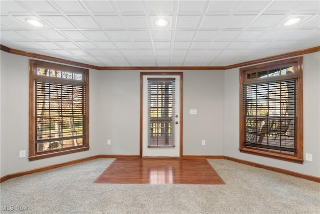 unfurnished room with carpet and crown molding