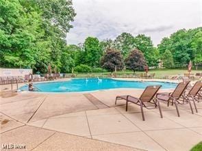 view of pool featuring a patio area