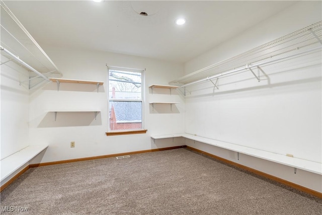 spacious closet featuring carpet