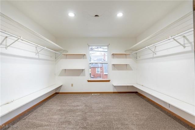 walk in closet featuring carpet flooring