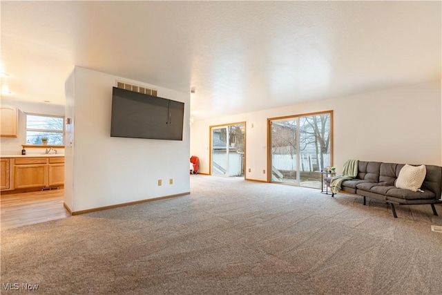 living room featuring sink and light carpet