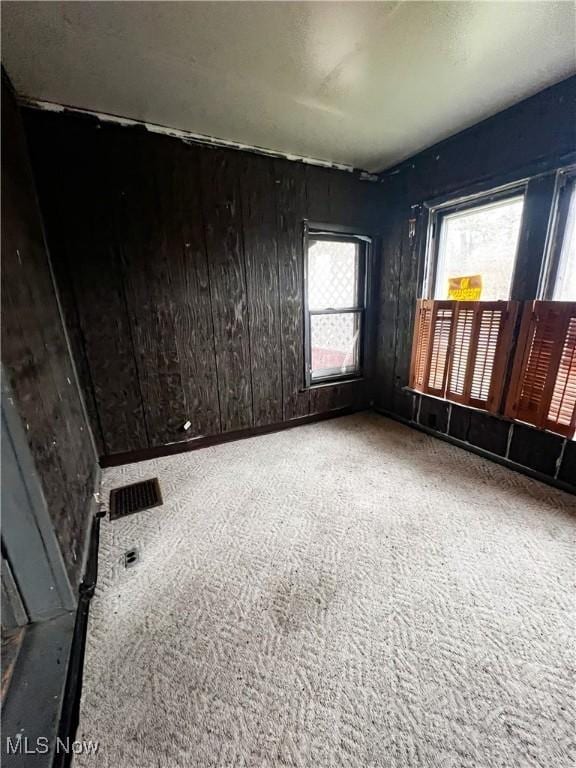 spare room featuring carpet and wooden walls