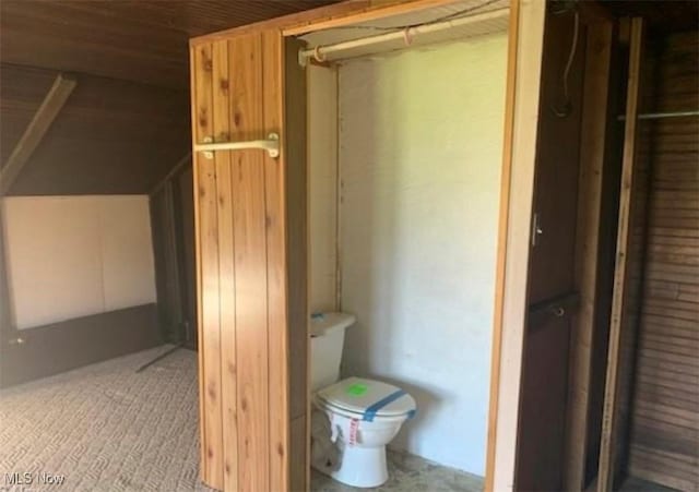 bathroom with wooden walls and toilet