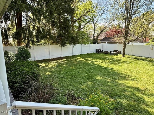view of yard with a fenced backyard
