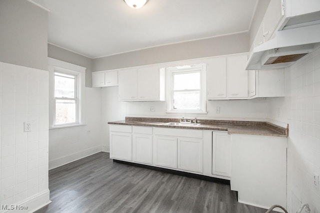 kitchen with dark hardwood / wood-style flooring, white cabinetry, sink, and exhaust hood