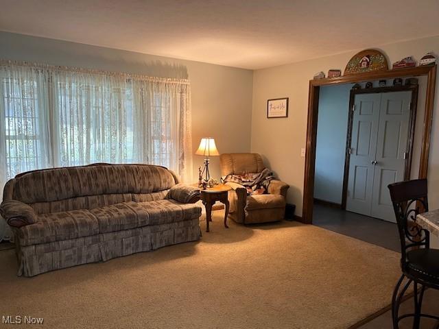 living room featuring carpet