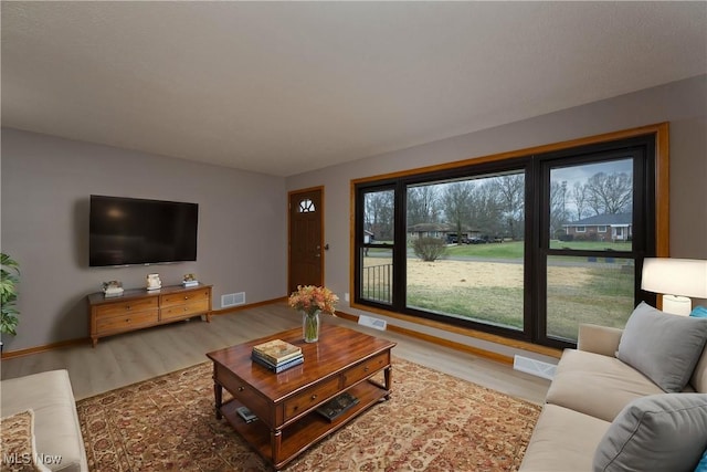 living room with light wood-type flooring