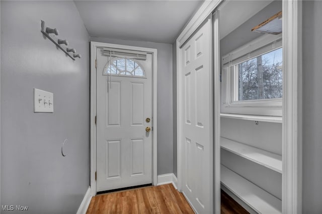 entryway featuring hardwood / wood-style floors and a wealth of natural light