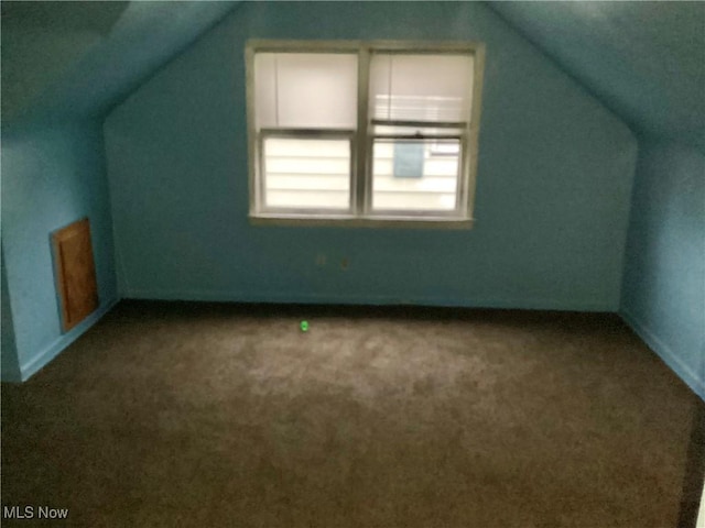 additional living space featuring carpet floors and lofted ceiling