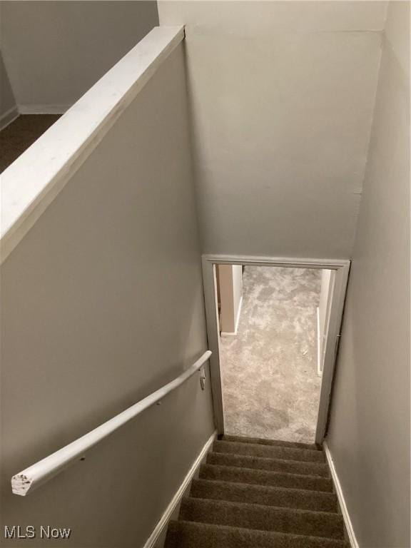 stairway featuring carpet