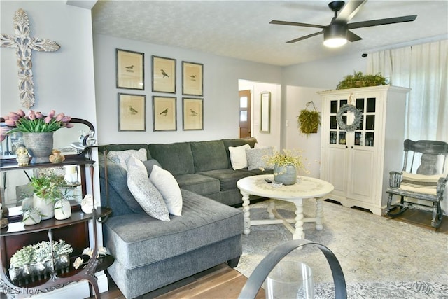 living room featuring ceiling fan, wood-type flooring, and a textured ceiling