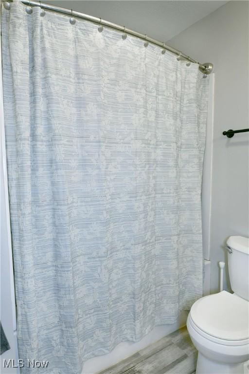 bathroom with wood-type flooring and toilet