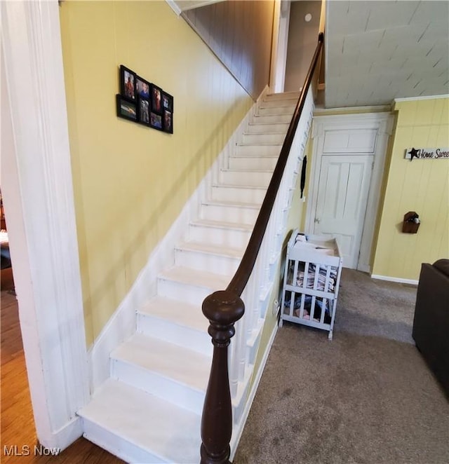 stairs with carpet floors