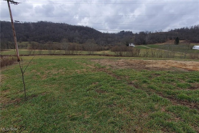 view of yard featuring a rural view