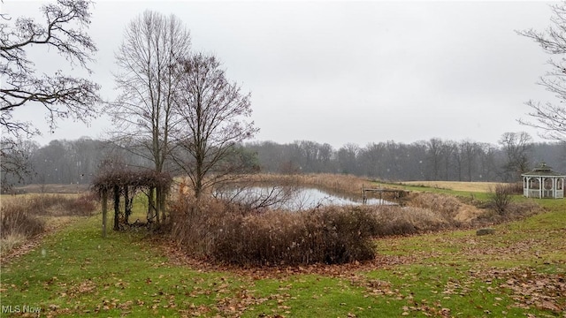 view of local wilderness featuring a water view