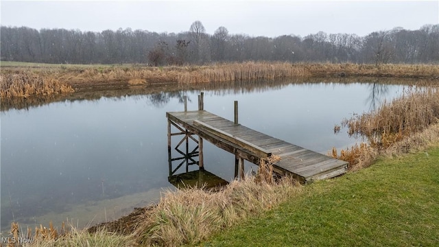 view of dock with a water view