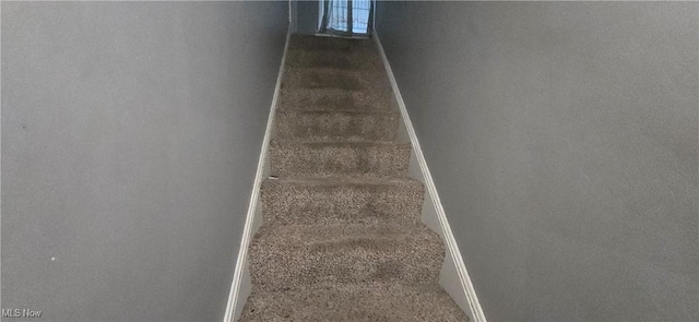 stairway with carpet