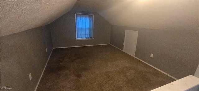 additional living space featuring carpet flooring, a textured ceiling, and vaulted ceiling